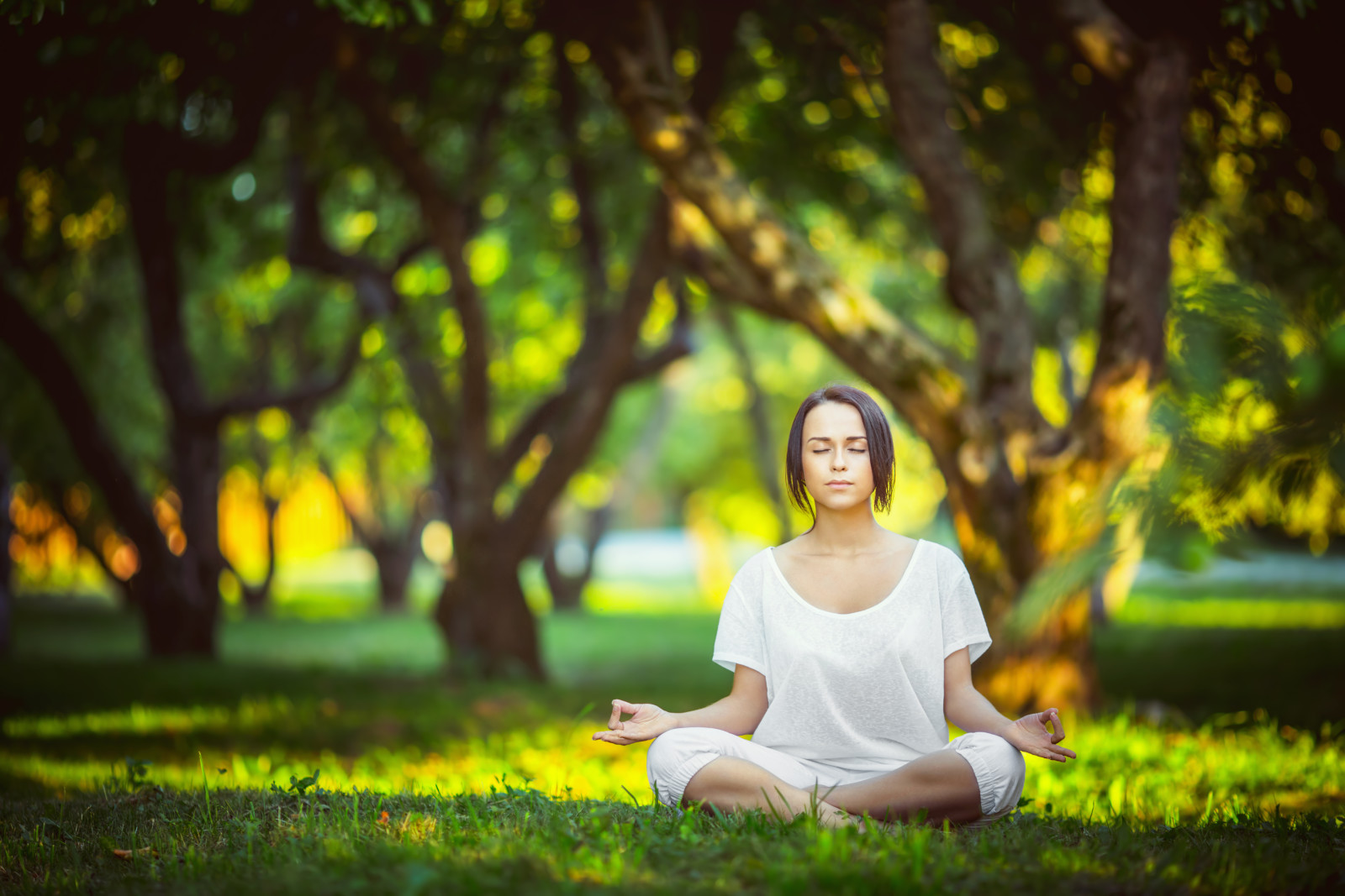 Park, yoga, witte kleding