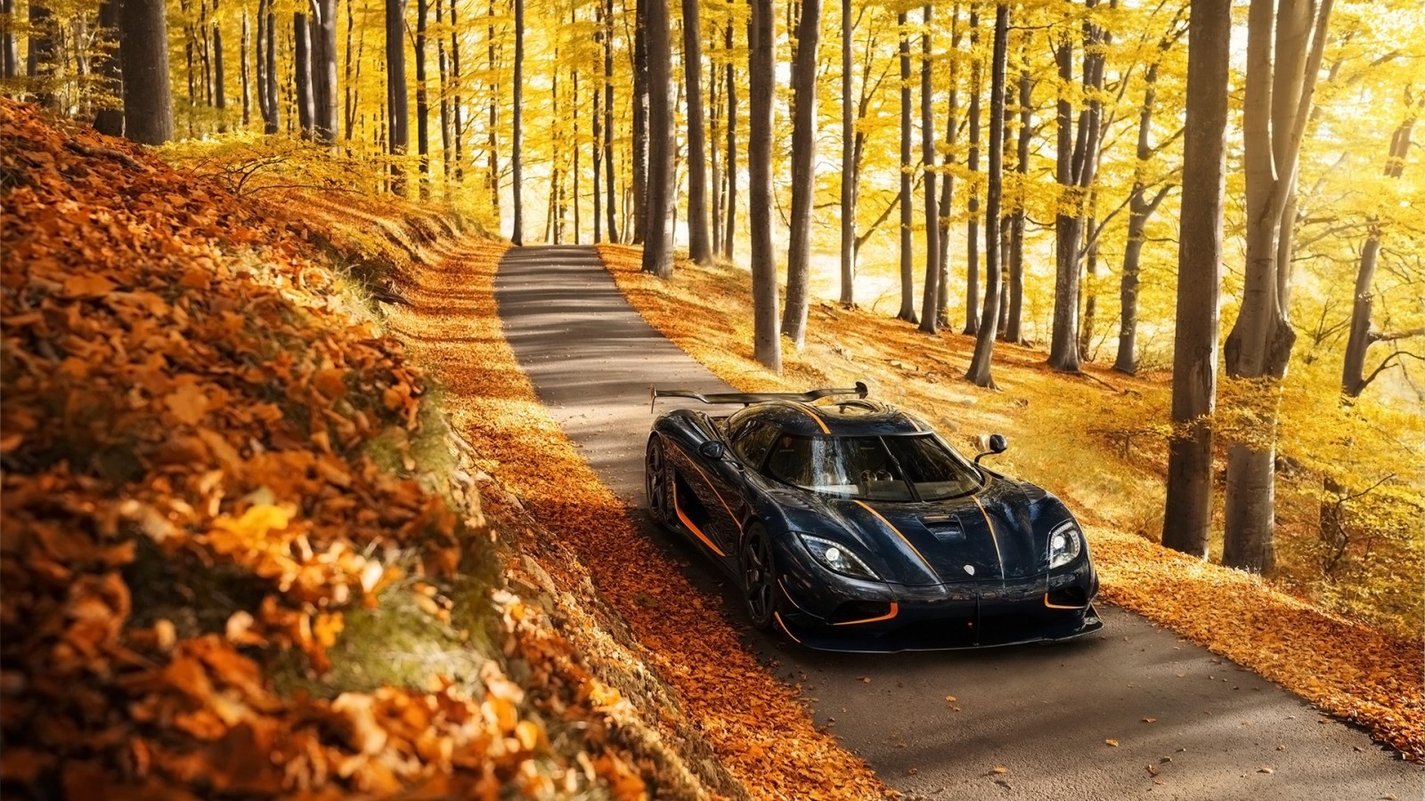 autumn, background, supercar, Hypercar, Agera, The front