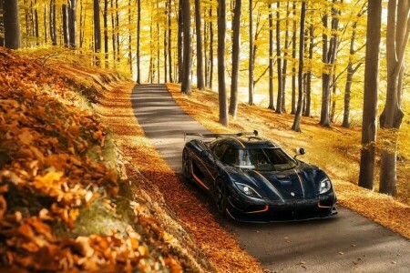 Agera, autumn, background, Hypercar, supercar, The front