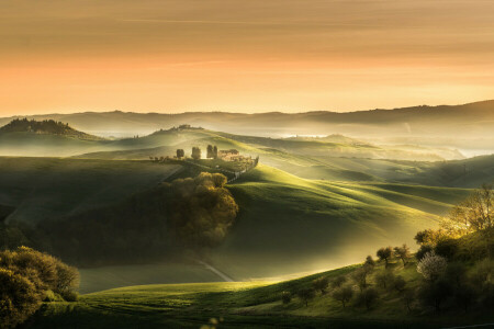 avril, biens, champ, brouillard, Italie, Matin, printemps, Toscane