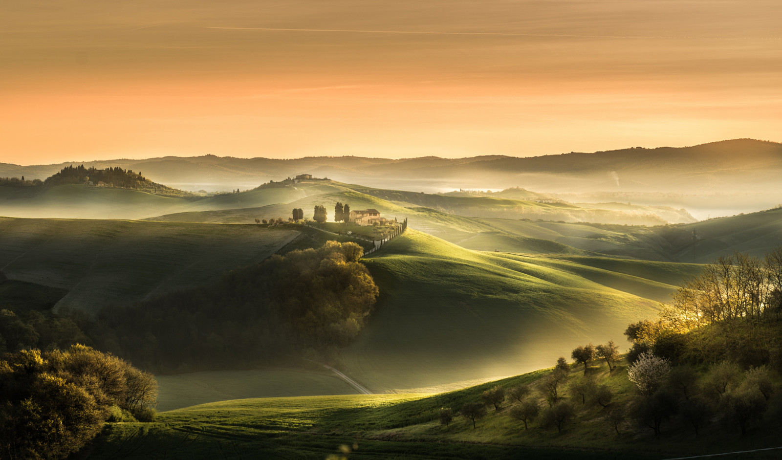 veld-, voorjaar, ochtend-, Italië, mist, april, Toscane, landgoed