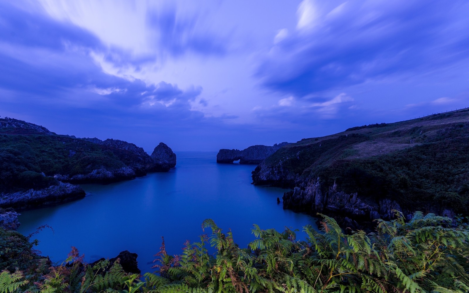 Baia, mare, rocce, Spagna, felce, Cantabria, Golfo di Biscaglia, Val de San Vicente