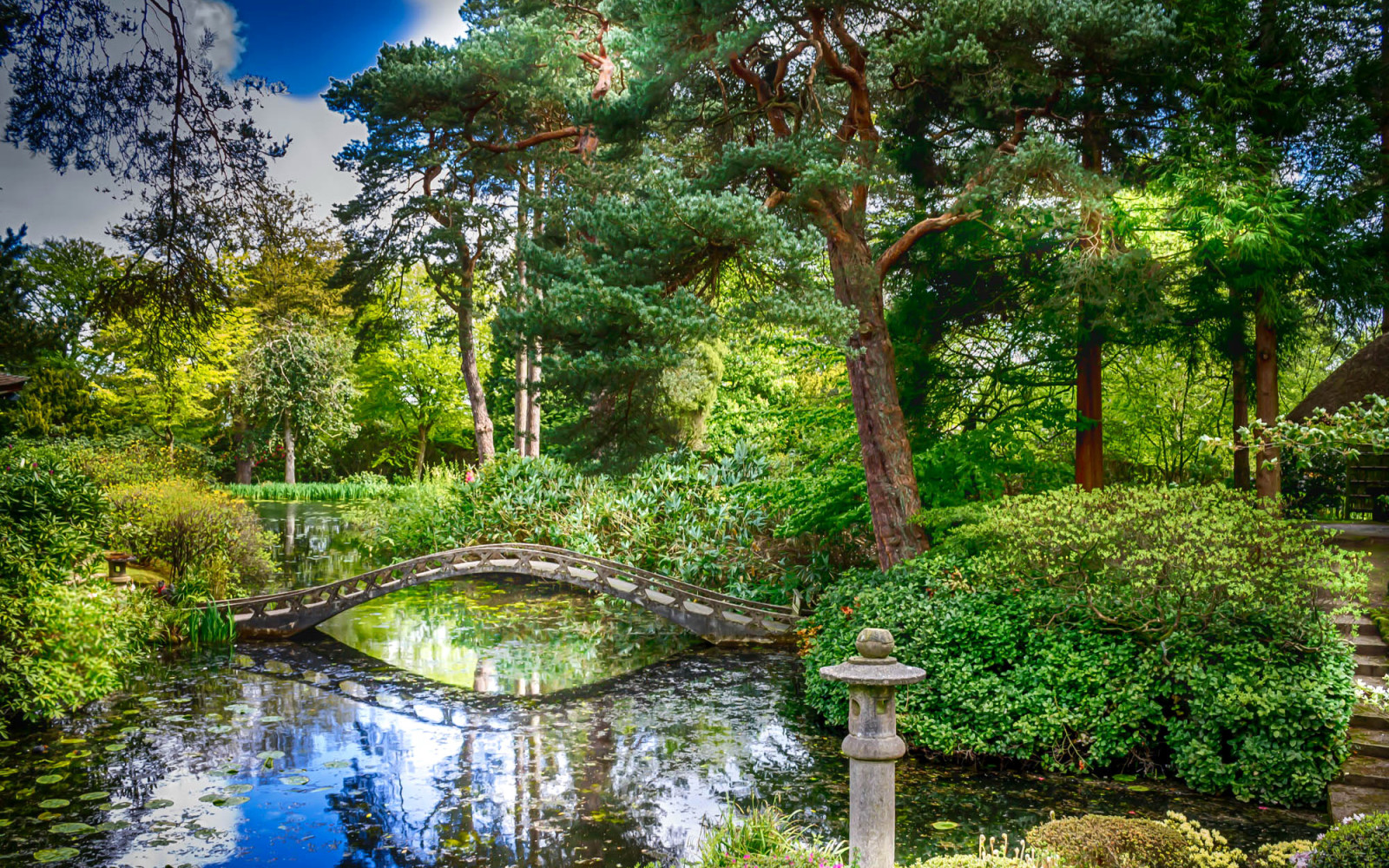 Parkere, træer, greens, England, Dam, buskene, broen, Tatton Hall