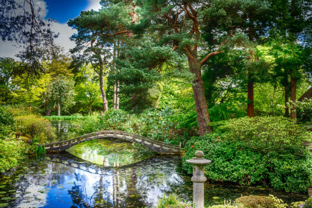 Inglaterra, verduras, Parque, estanque, Tatton Hall, el puente, los arbustos, arboles