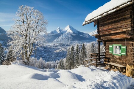 house, nature, snow, snowflakes, winter