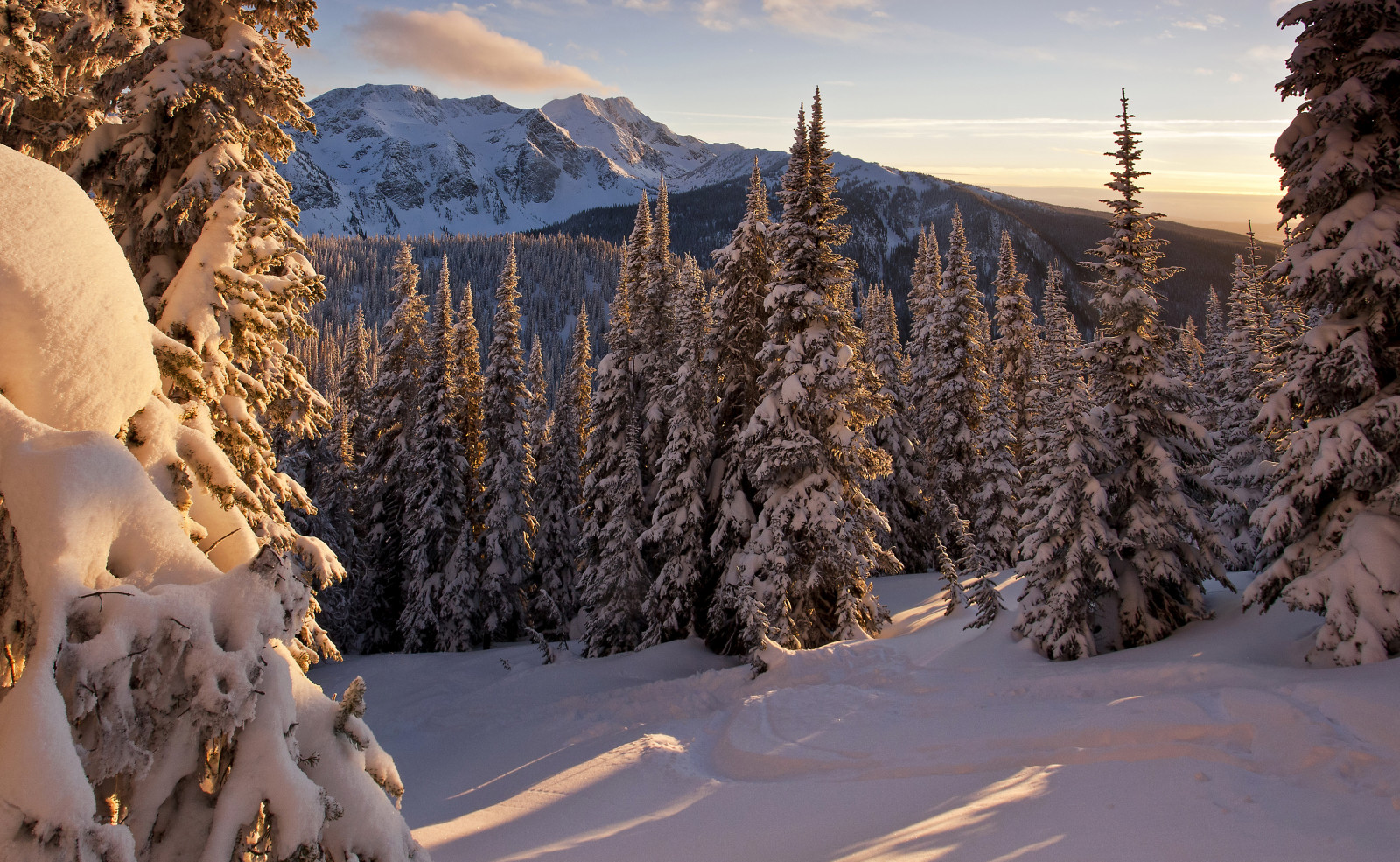 snow, forest, winter, trees, mountains, the sun