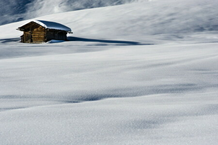 felt, hus, morgen, vinter