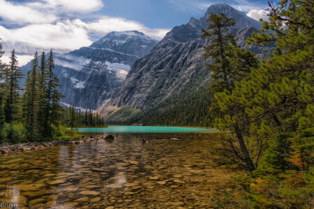 floresta, lago, panorama, montanhas, natureza