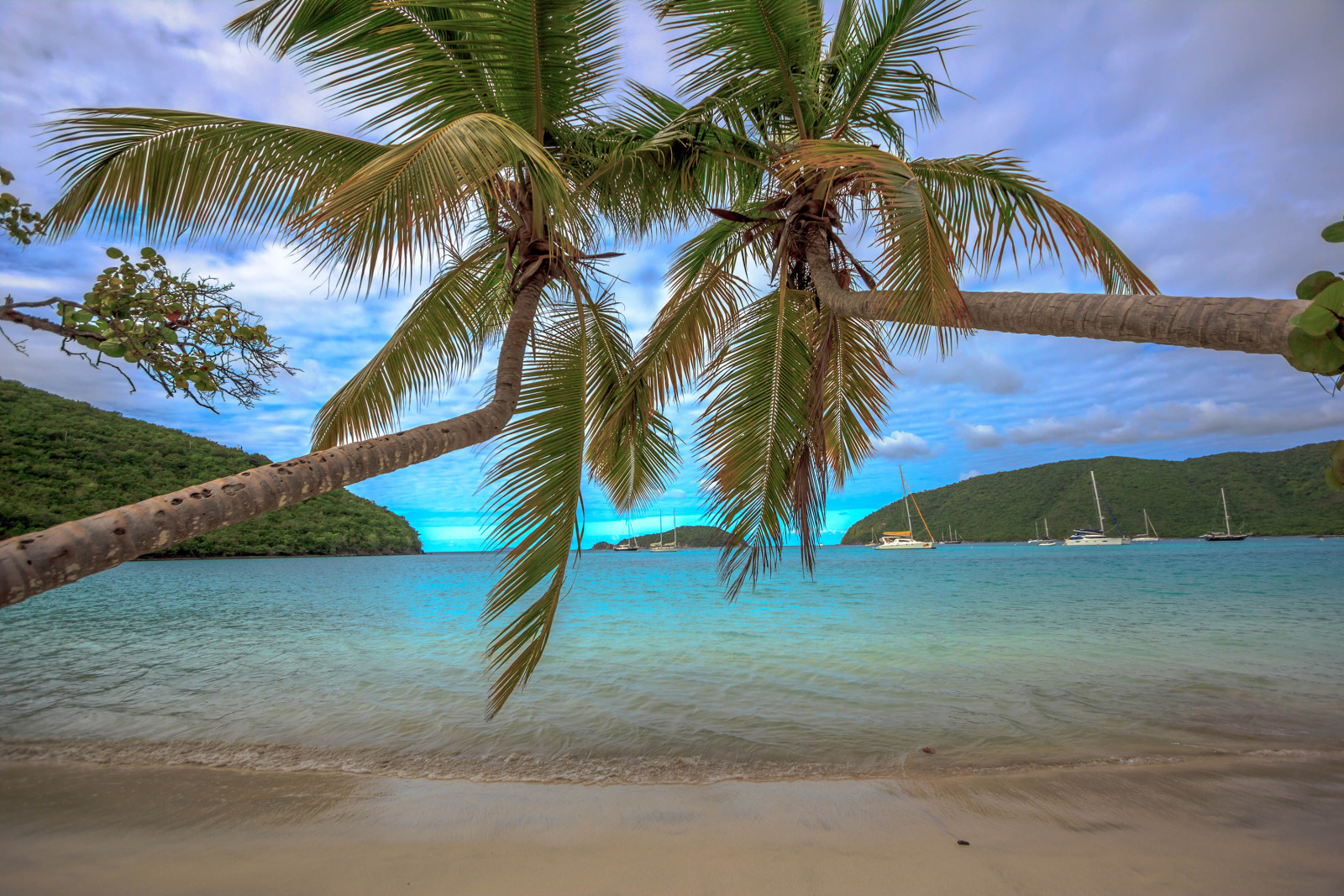 Bay, yachts, beach, sea, coast, sand, palm trees, Tropics