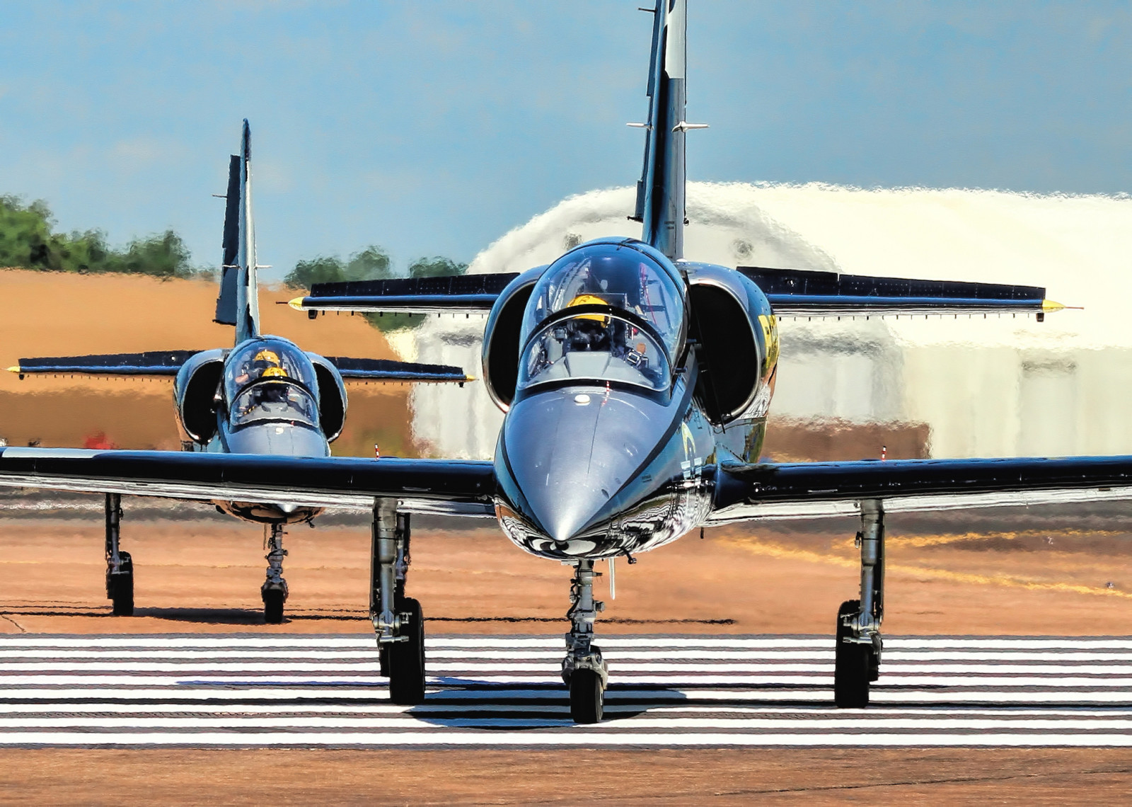 l'avion, Albatros, Entraînement au combat, "Albatros", Aero L-39S