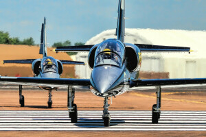 "Albatros", Aero L-39S, Albatros, Entrenamiento de combate, el avión