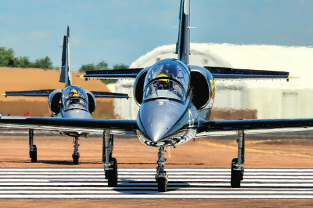 "Albatros", Aero L-39S, Albatros, Bojový výcvik, lietadlo