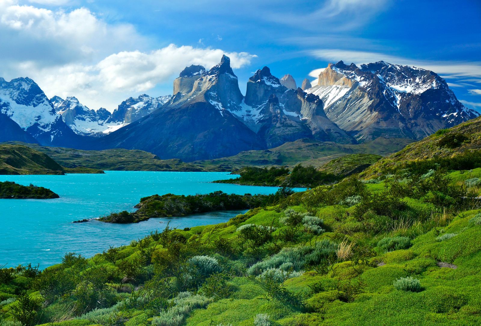 tráva, jezero, pobřeží, hory, Chile, Patagonie, Pehoe Lake