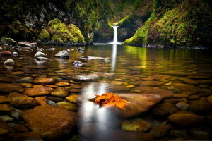 autumn, forest, lake, nature, stones, the bottom, waterfall