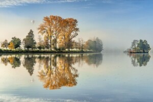 Balloon, fog, lake, reflection, trees