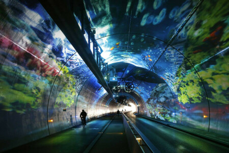 Francia, Lyon, Ródano-Alpes, túnel Croix Rousse