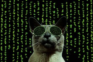 Katze, Brille, Matrix, Stil