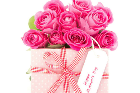 bouquets, bow, gift, March 8, roses