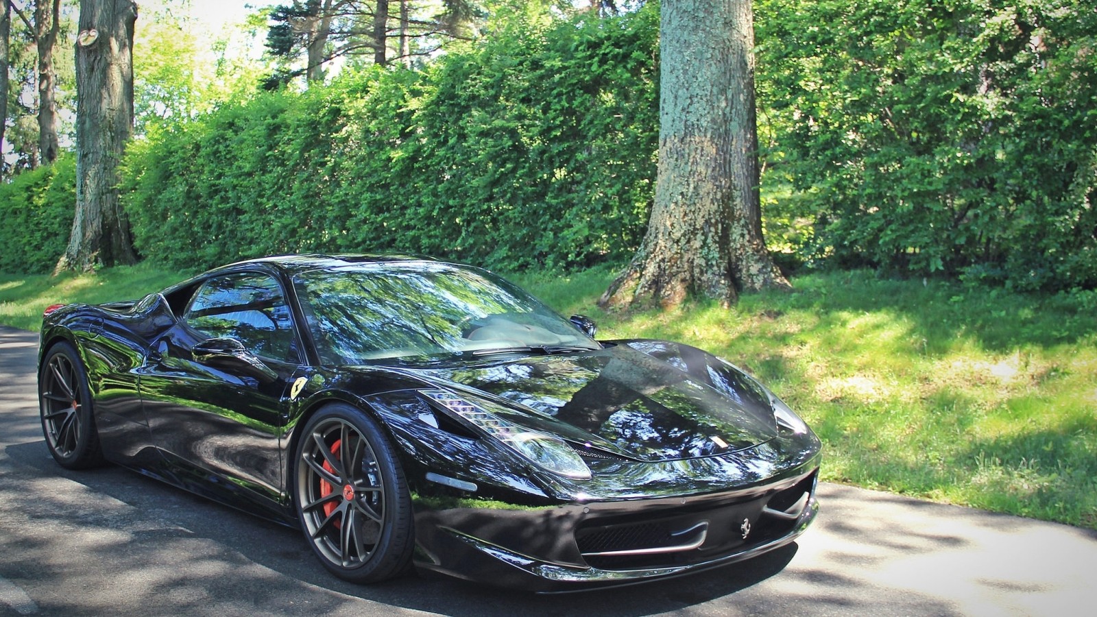 la carretera, ferrari, arboles, Coche deportivo, los arbustos, Ferrari 458 Italia