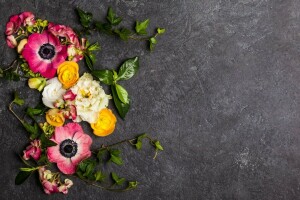 background, flowers, Ranunculus, Twigs