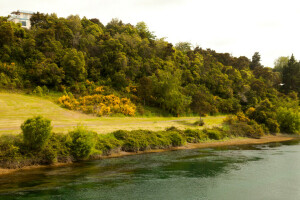 Nouvelle-Zélande, rivière, route, rive, pente, Rivière Waikato