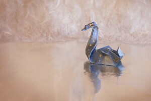 fundo, origami, cisne