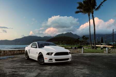 5,0, voiture, Gué, De face, Hawaii, muscle, Mustang, blanc