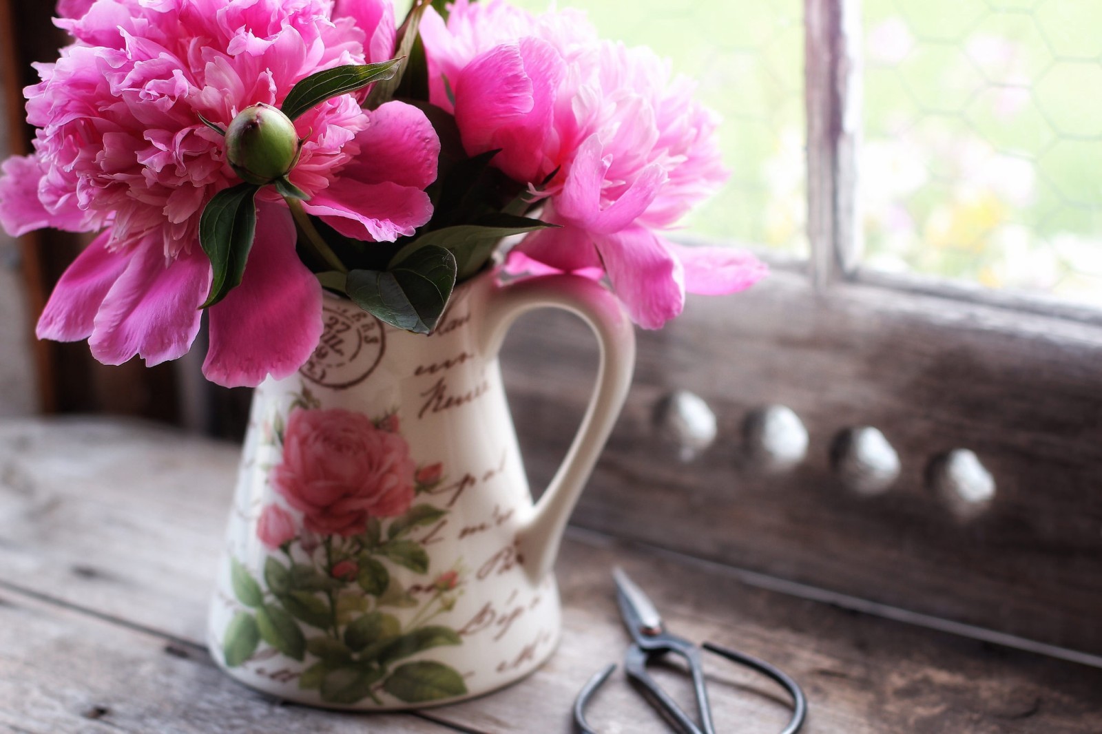 peonies, pitcher, scissors