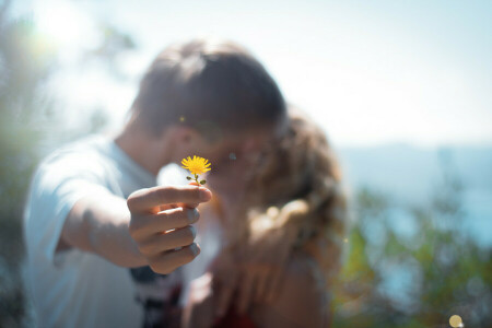 brouiller, fleur, baiser, macro, paire, gens, CANNABIS, Jaune