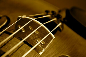 macro, La musique, violon