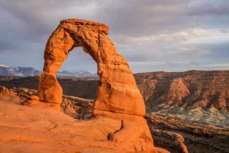 bue, Delikat Arch, Ørken, Jeff Wallace, nasjonalpark