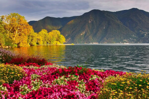 fleurs, Lac, paysage, montagnes, la nature, photo