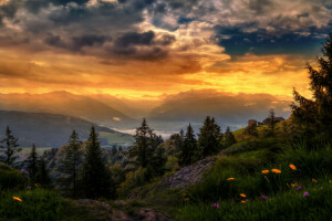 clouds, flowers, glow, grass, Houses, mountains, sunset, Switzerland