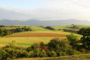 Czech Republic, field, kozlovice, mountains, the sky, trees