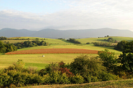 République Tchèque, champ, kozlovice, montagnes, Le ciel, des arbres