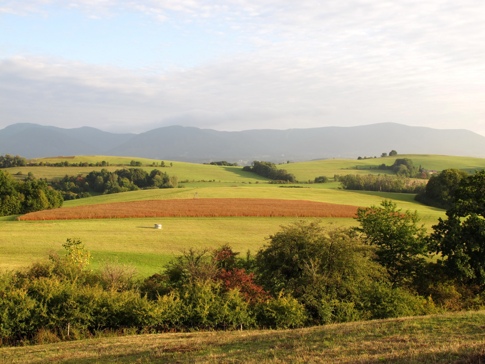 Le ciel, des arbres, champ, montagnes, République Tchèque, kozlovice