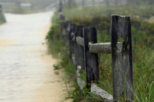 landscape, road, the fence