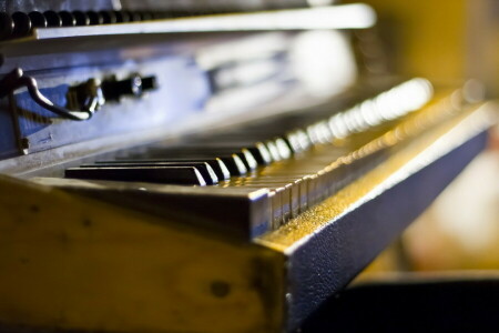 macro, Musica, pianoforte