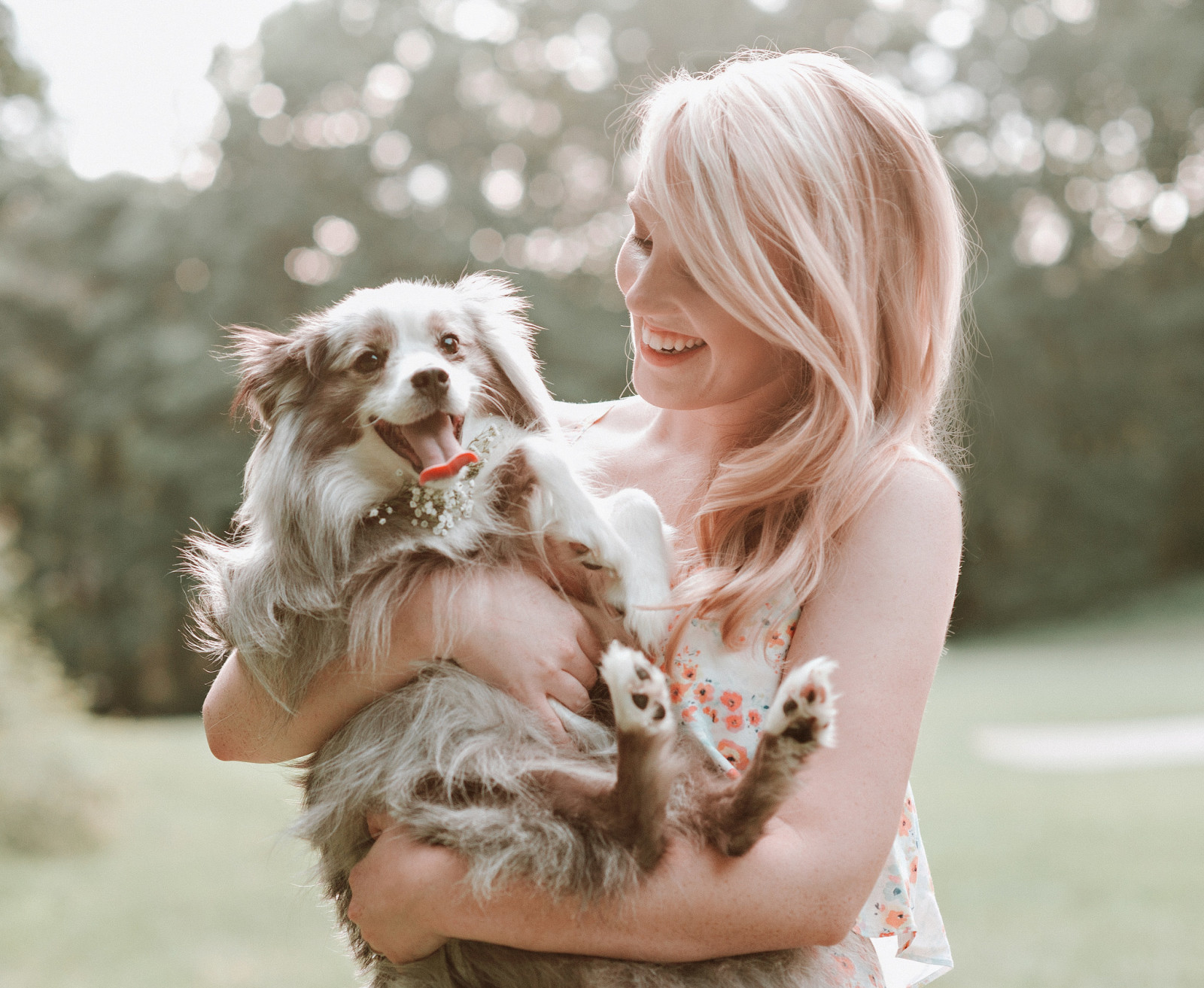 chien, chiot, fille, blond, sourire, rire