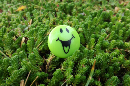 greens, lawn, macro, smile, smiley, spring