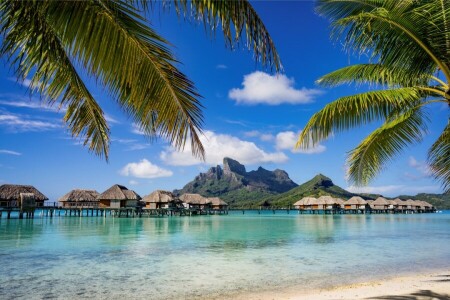 strand, palmbomen, palmen, paradijs, zand, zee, kust, zomer