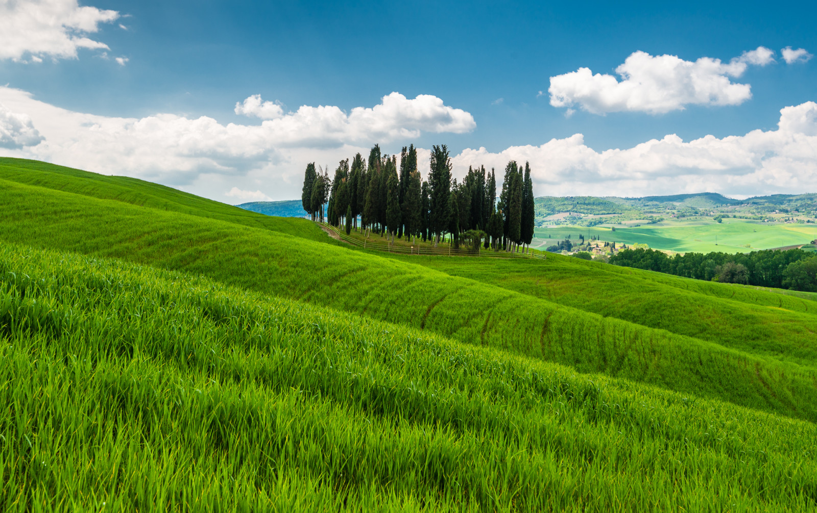 erba, alberi, montagne, Italia, colline, Toscana