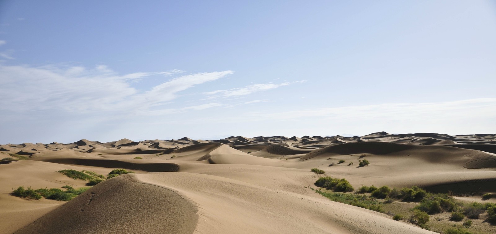 la nature, le sable, dunes