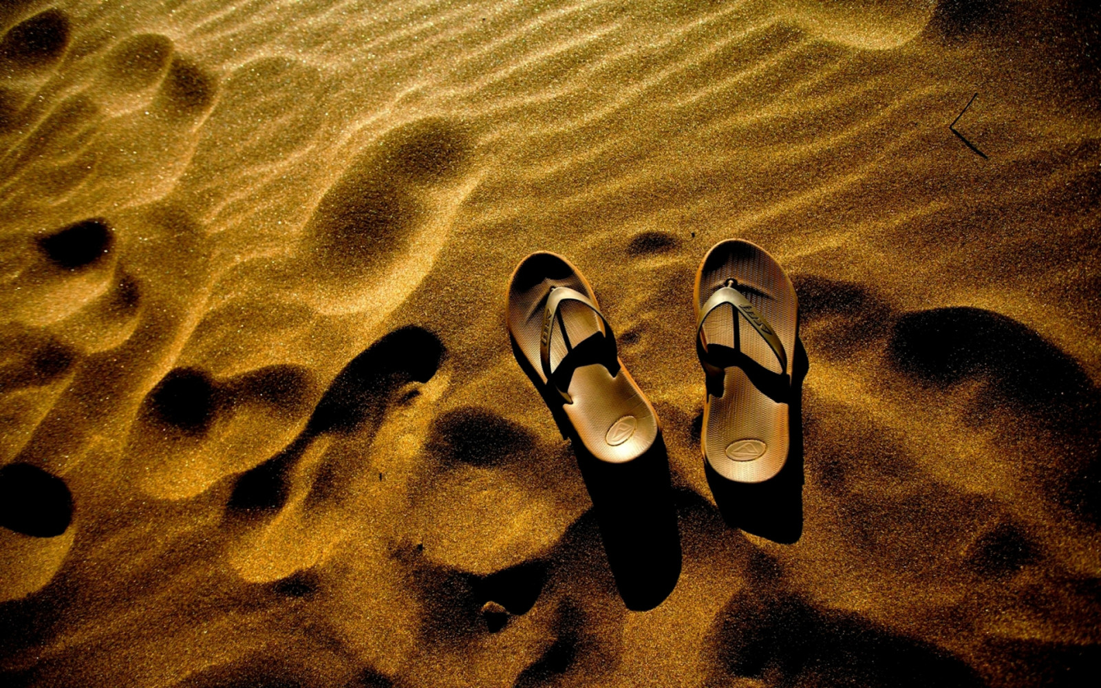 gull, skifer, sand.flip flops