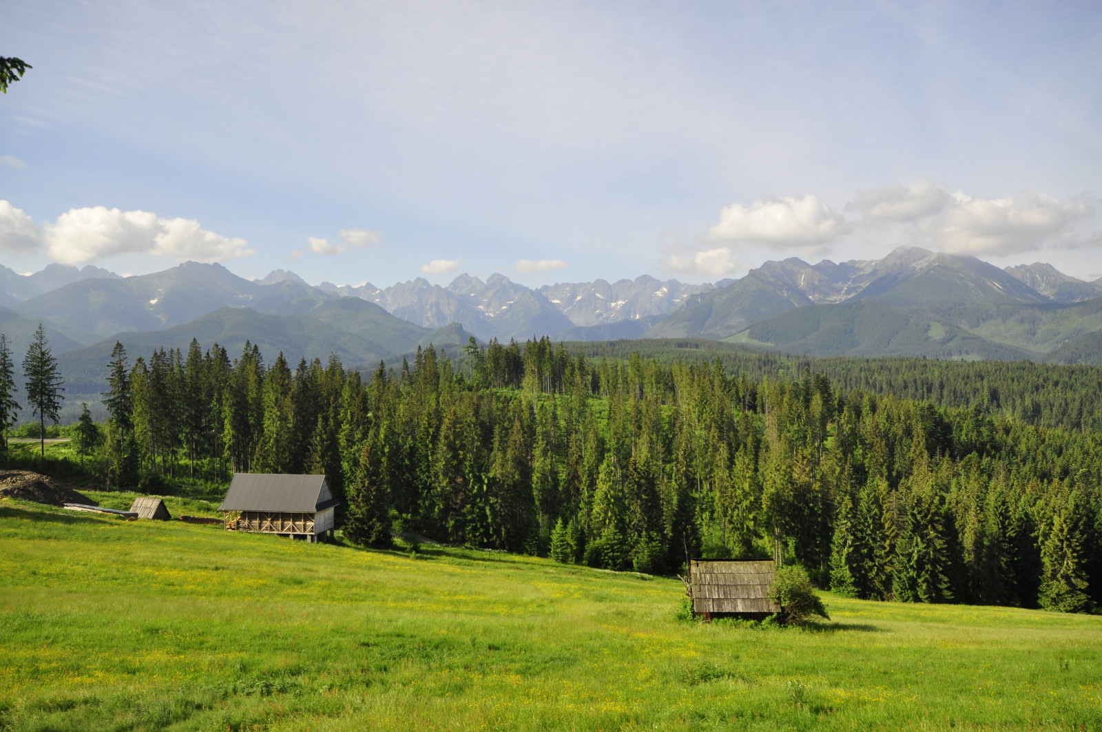 pădure, iarbă, copaci, munţi, poiană, Case, Polonia, Tatry