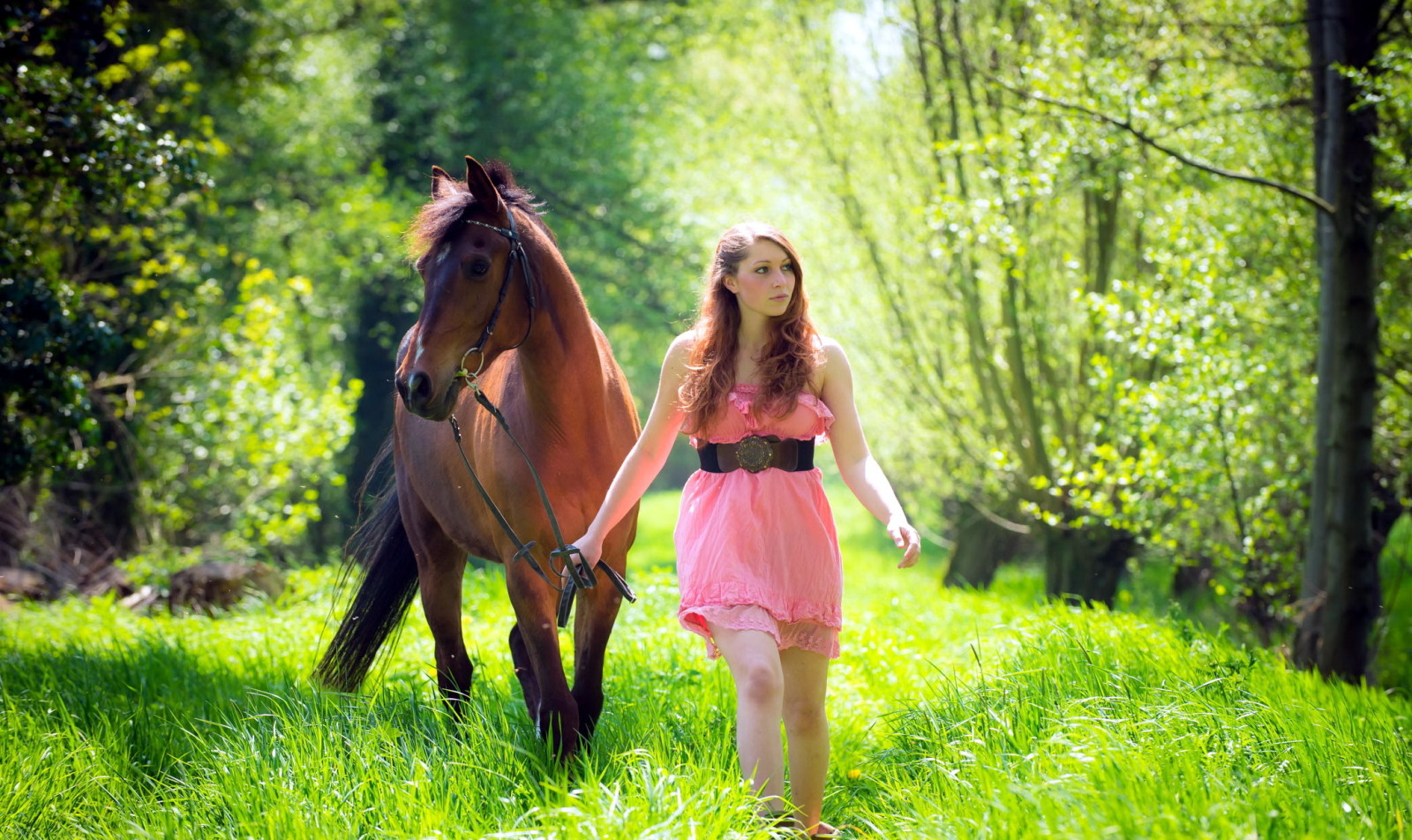 zomer, meisje, paard