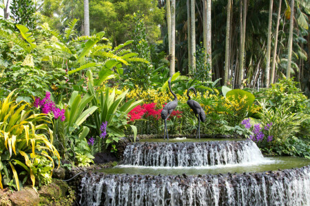 birds, flowers, fountain, Garden, orchids, sculpture, Singapore, the bushes