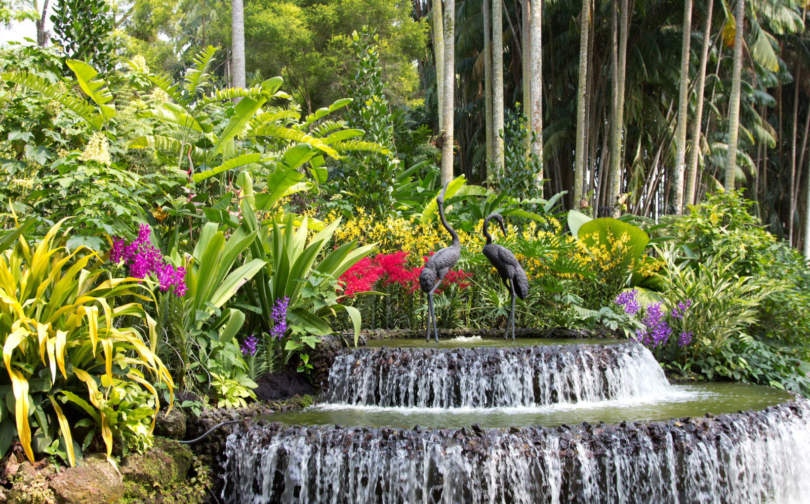 trees, waterfall, flowers, birds, Garden, sculpture, the bushes, Singapore