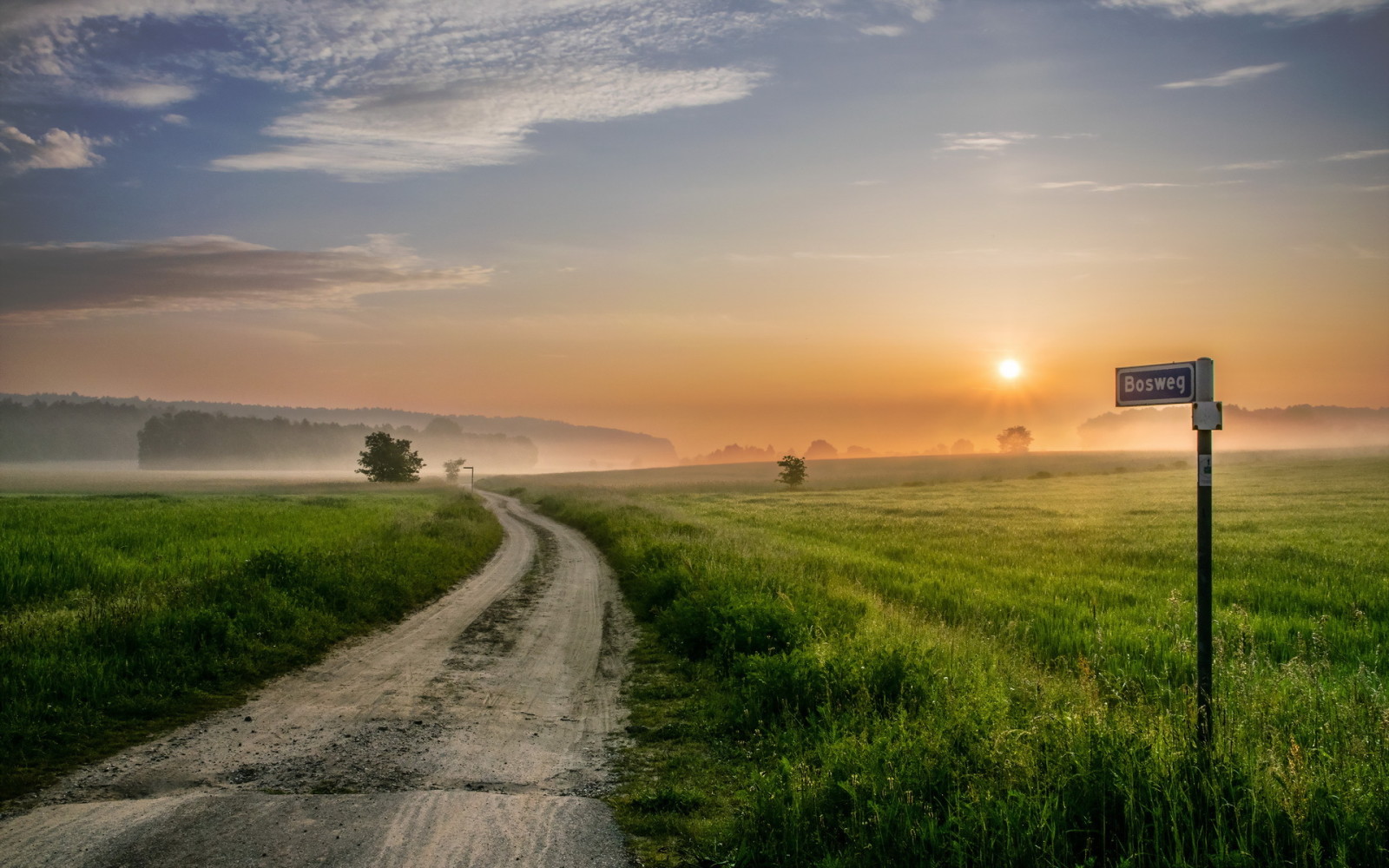 sunset, road, field, fog, Sign