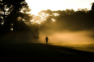 fog, morning, running